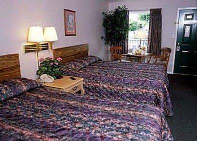 Surrey Inn Бренсън Стая снимка